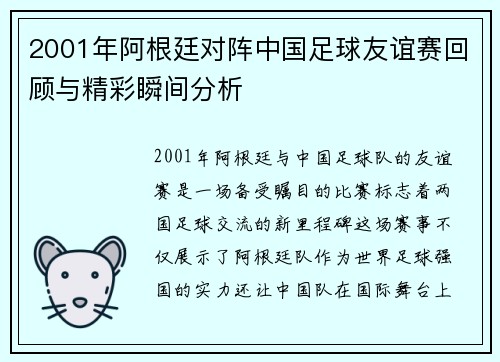 2001年阿根廷对阵中国足球友谊赛回顾与精彩瞬间分析